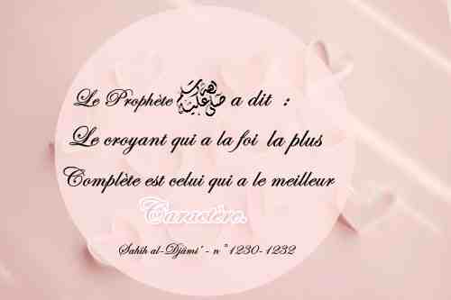 3144214378_1_4_rpqu8Xa6