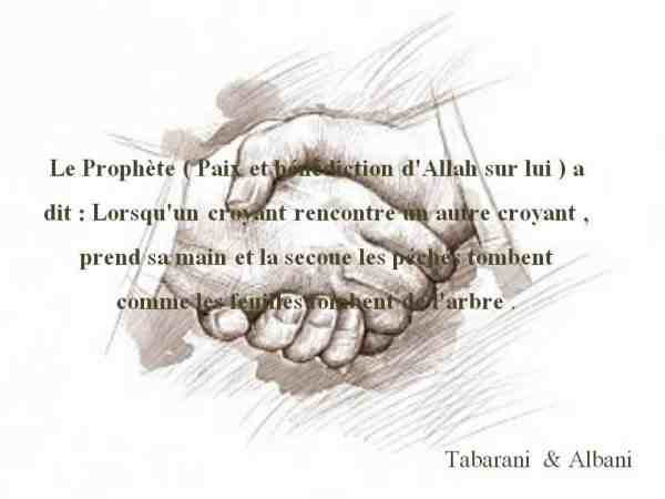 3138331258_1_2_7YQwyGmA