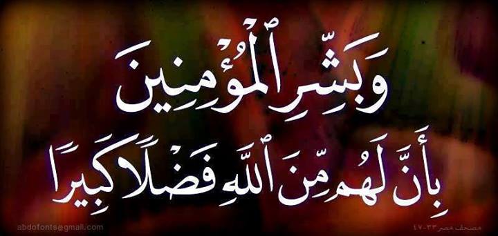 1238051_599802660071463_696256036_n